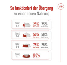 Hundefutter trocken Royal Canin Mini Ageing +12, 1,5 kg