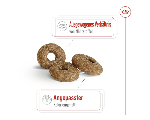 Drei Kroketten für Hundefutter in Ringform