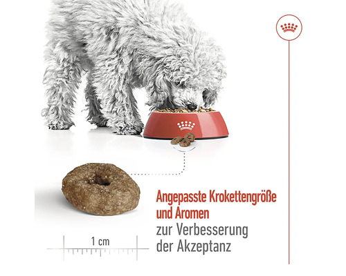 Ein Hund frisst Trockenfutter aus einem roten Napf, wobei die Krokettengröße und Aromen zur Verbesserung der Akzeptanz angepasst sind.