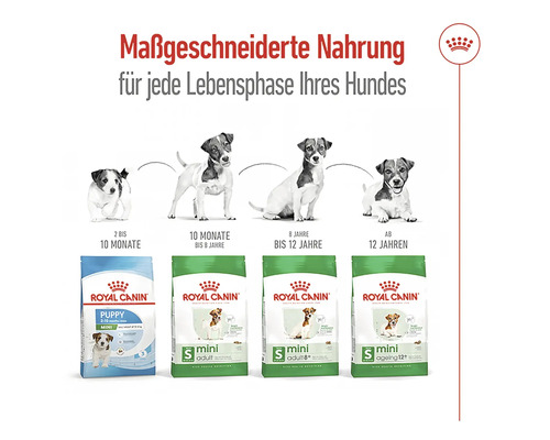 Royal Canin Hundefutter für verschiedene Lebensphasen des Hundes