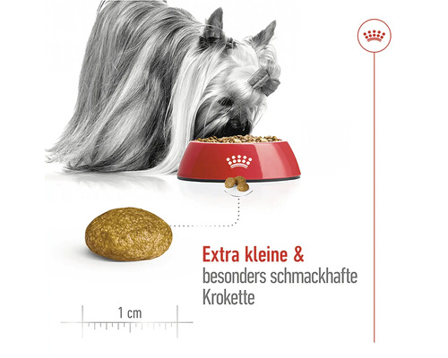 "Ein Hund frisst Hundefutter aus einer roten Schüssel