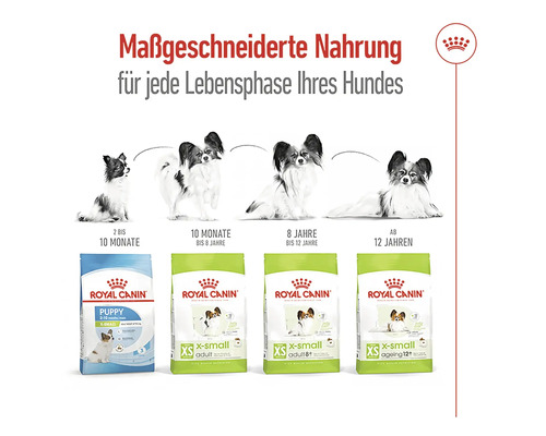 Royal Canin Hundefutter für jede Lebensphase des Hundes