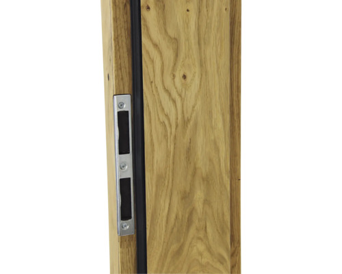 Detailansicht einer Holztür mit Schlosskasten