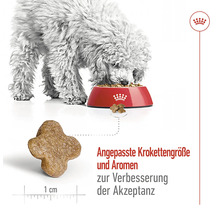 Hundefutter trocken, ROYAL CANIN Mini Mature 0,8 kg