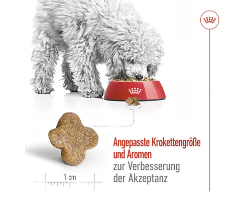 Ein Hund frisst Trockenfutter aus einem roten Napf, mit einer Nahaufnahme eines einzelnen Futterstücks in Kreuzform.