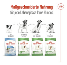 Hundefutter trocken, ROYAL CANIN Mini Mature 0,8 kg
