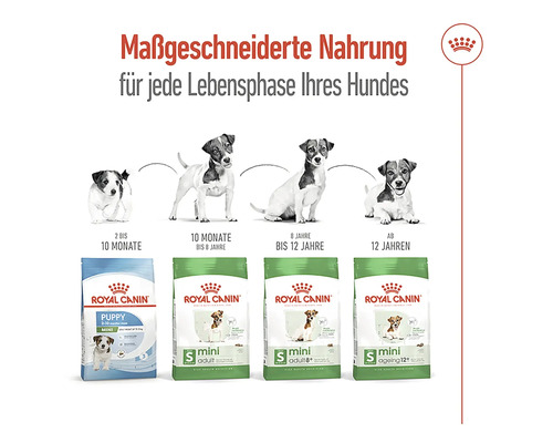 Royal Canin Hundefutter für jede Lebensphase des Hundes