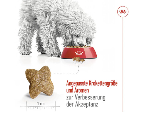 Hund frisst Hundefutter aus einem Napf, Krokettengröße und Aromen zur Verbesserung der Akzeptanz