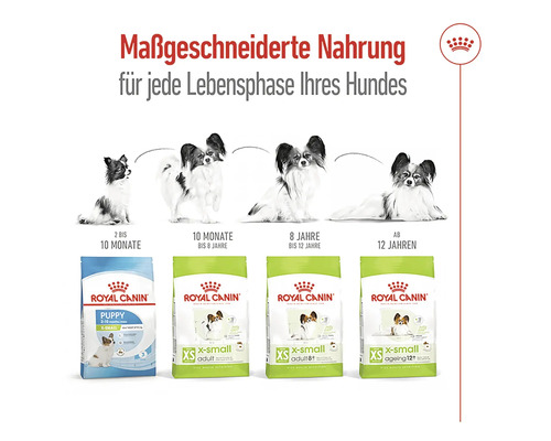 Royal Canin Hundefutter für jede Lebensphase des Hundes
