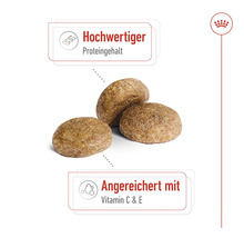 Drei Kroketten mit Hinweis auf hohen Proteingehalt und Anreicherung mit Vitamin C und E