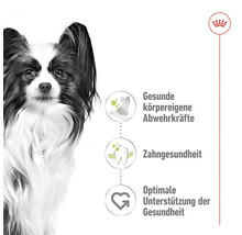 Illustration von gesundheitlichen Vorteilen mit Hund