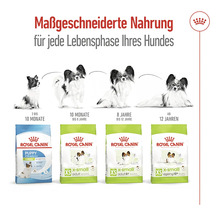 Royal Canin Hundefutter für jede Lebensphase eines Hundes