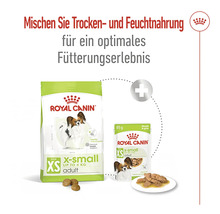 Royal Canin X-Small Adult Trocken- und Feuchtnahrung für Hunde bis 4 kg
