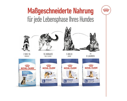 Royal Canin Hundefutter für jede Lebensphase des Hundes