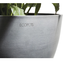 Blumentopf Ecopots Amsterdam Kunststoff Ø 6,8 cm 8 x 8 x 7 cm weiß