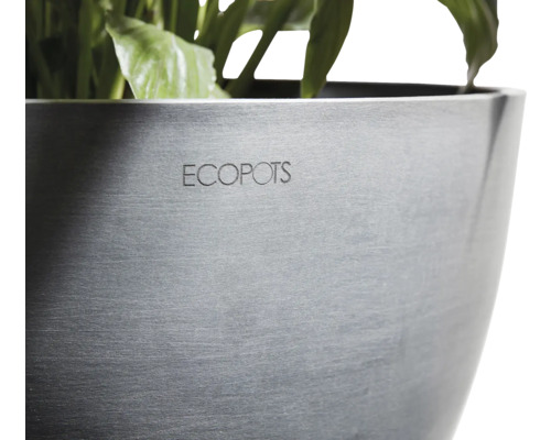 ECOPOTS Pflanztopf mit Pflanzen