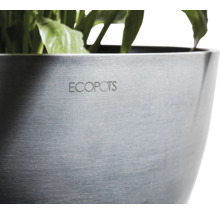 Ecopots Pflanzgefäß mit Pflanzen
