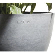 Ecofpots Pflanzgefäß mit Pflanzen
