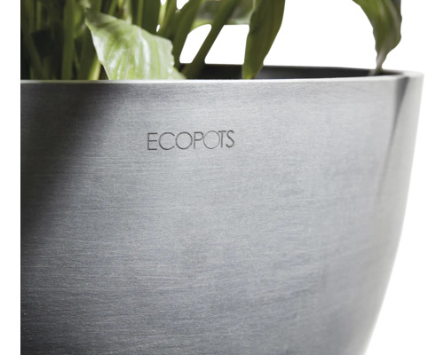 Ecofpots Pflanzgefäß mit Pflanzen