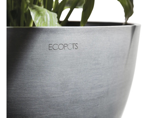 Ecopots Pflanzgefäß mit Pflanzen