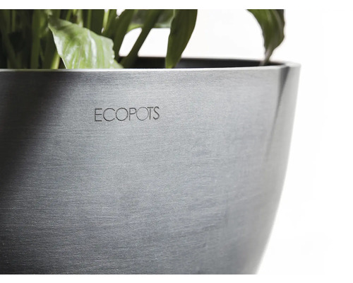 Detailansicht eines Pflanzgefäßes mit der Aufschrift Ecopots