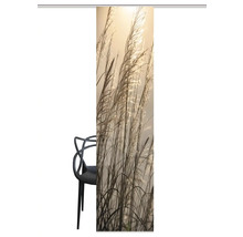 Schiebegardine Digitaldruck Caruso natur 60x245 cm