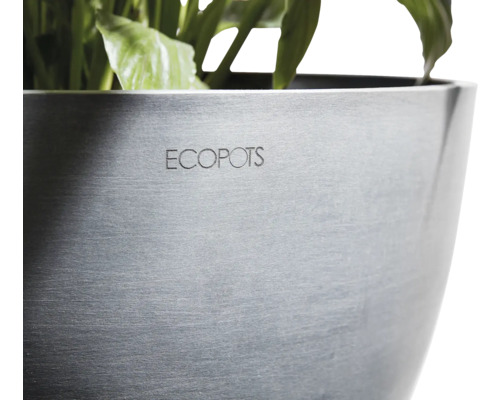 Ecopots Pflanzgefäß mit Pflanzen