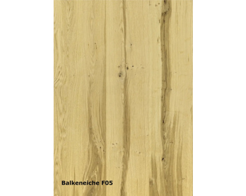 Balkeneiche Holzstruktur