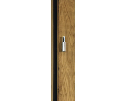 Detailansicht eines Türscharniers an einer Holztür