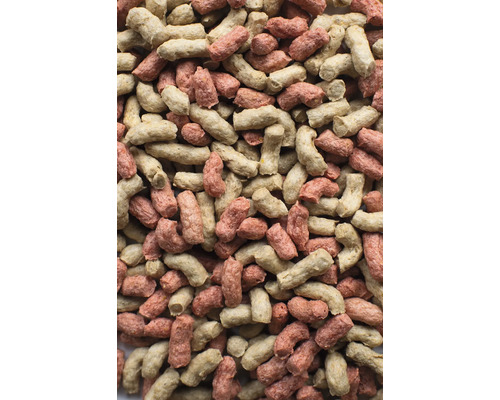 Tierfutter Pellets Nahaufnahme