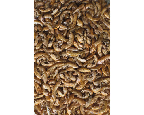 Getrocknete Bachflohkrebse als Tierfutter