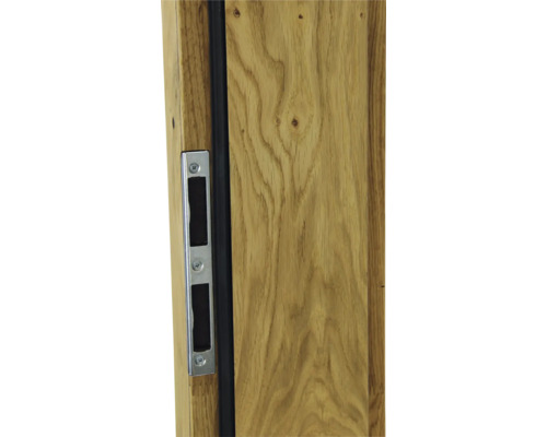 Detail einer Holztür mit Schließblech