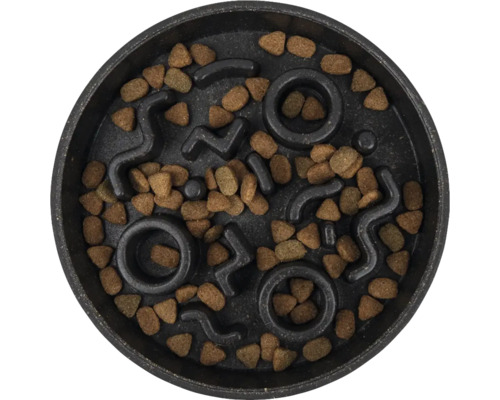 Napf für Hunde mit Futter