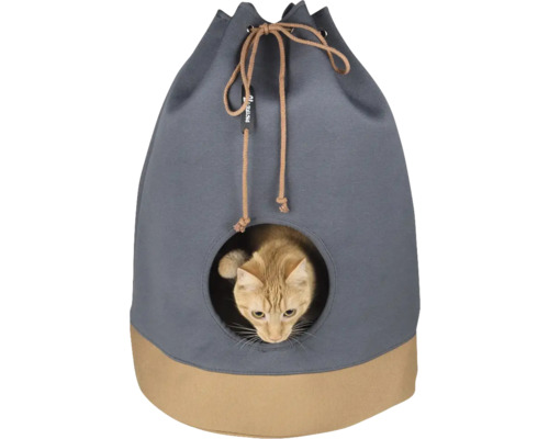 Katze in Katzenhöhle mit Tunnel