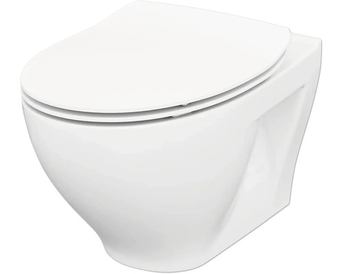 Wand-Tiefspülklosett mit Deckel