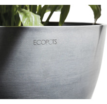 Nahaufnahme eines Ecopot Pflanzgefäßes mit Bepflanzung.