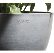 Blumentopf Ecopots Antwerp Mini Kunststoff Ø 10,1 cm 11,5 x 11,5 x 10,1 cm dunkelgrau