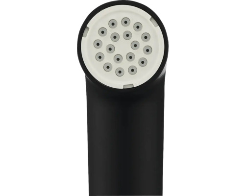 Handbrause mit mehreren Wasseraustrittsdüsen