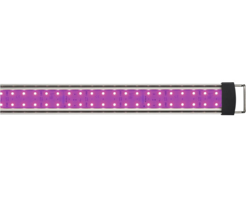 LED-Pflanzenleuchte mit violettem Licht für Pflanzenwachstum