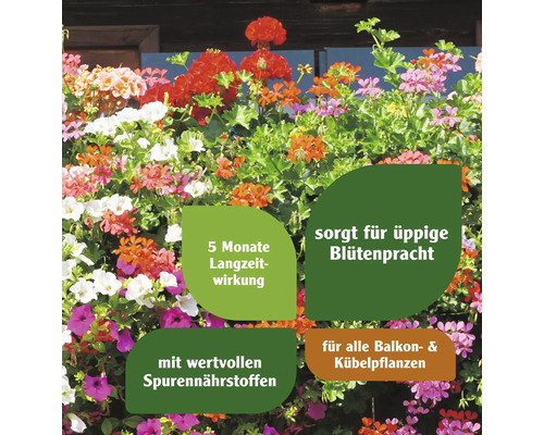 Blühende Balkonpflanzen mit Informationen zu Langzeitwirkung, Blütenpracht und Spurennährstoffen