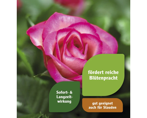 Nahaufnahme einer Rose mit der Aufschrift fördert reiche Blütenpracht, Sofort- und Langzeitwirkung, gut geeignet auch für Stauden