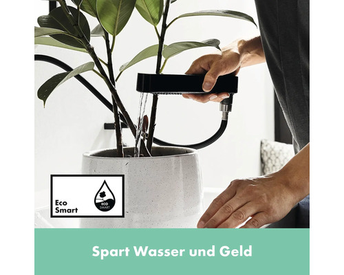 Pflanze wird mit einem Bewässerungssystem gegossen