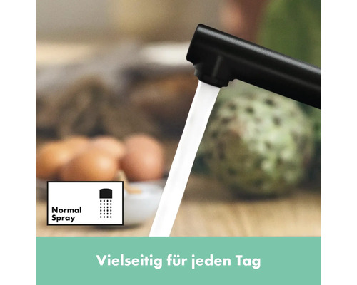 "Küchenarmatur mit normalem Sprühstrahl und dem Hinweis ""Vielseitig für jeden Tag"""