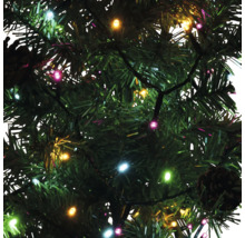 Lichterkette mit bunten Lichtern an einem Weihnachtsbaum