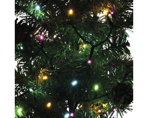 Lichterkette mit bunten Lichtern an einem Weihnachtsbaum