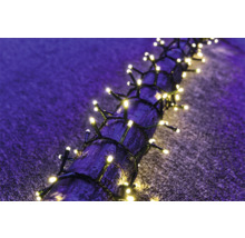 Lichterkette mit leuchtenden Lichtern um einen Ast gewickelt