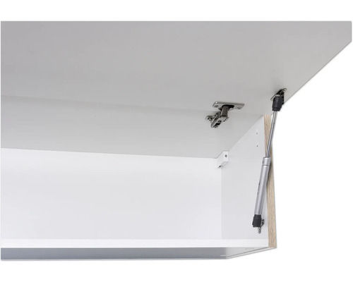 Schranktür mit Scharnier und Gasdruckfeder