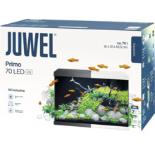 Juwel Primo 70 LED Aquarium, circa 70 Liter, inklusive Ausstattung