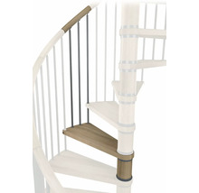 Detailaufnahme einer Wendeltreppe mit Holzstufen und Geländerstäben