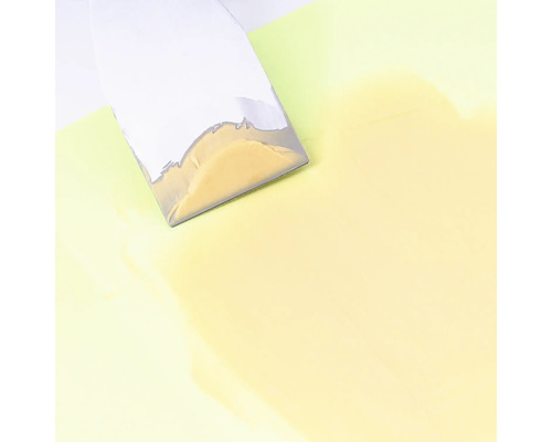 Spachtel zum Auftragen von Farbe